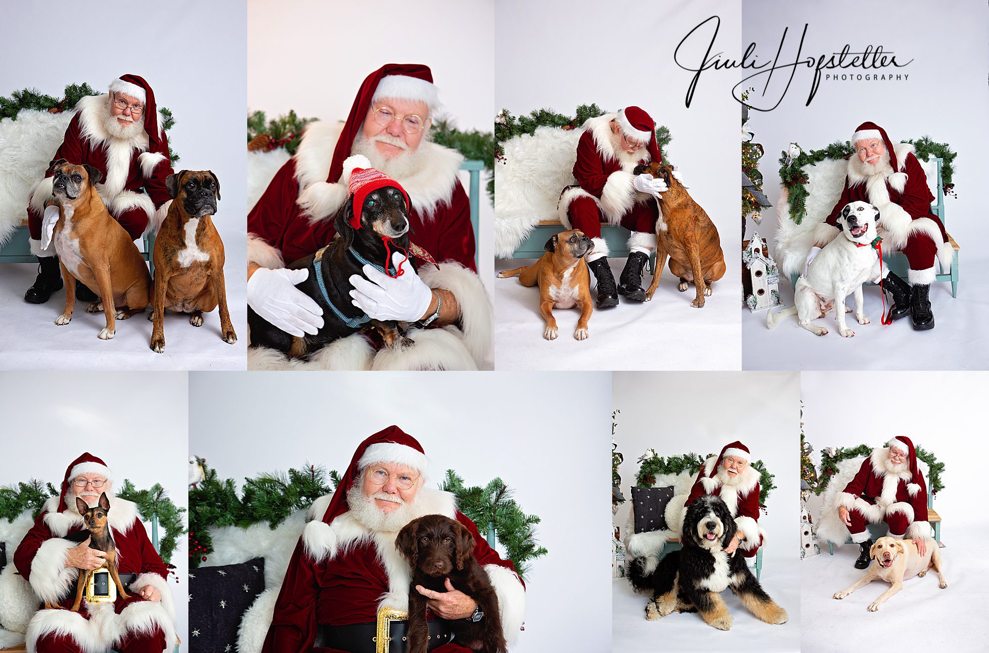 Santa Sessions Pensacola Santa Santa Minis Santa Santa Photographer Santa Studio Minis Santa and Dogs